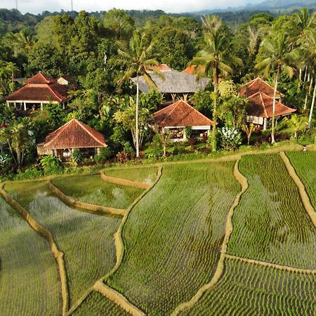 Sava Eco Retreat Padangan (Bali) Exterior foto