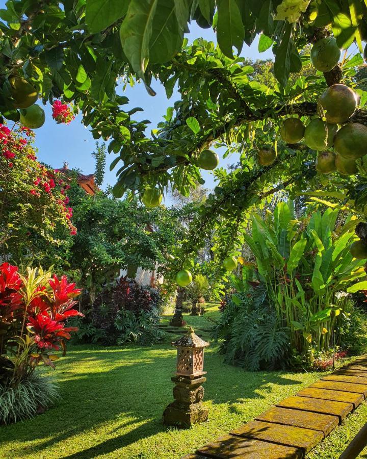 Sava Eco Retreat Padangan (Bali) Exterior foto