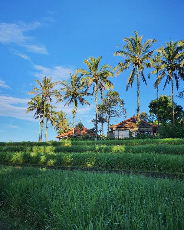 Sava Eco Retreat Padangan (Bali) Exterior foto