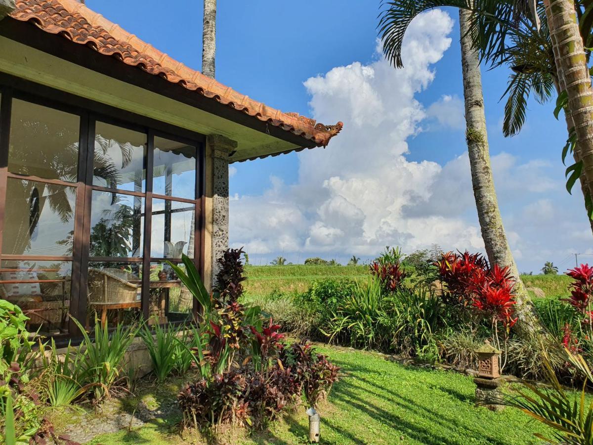 Sava Eco Retreat Padangan (Bali) Exterior foto