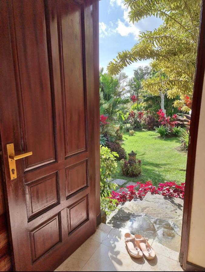 Sava Eco Retreat Padangan (Bali) Exterior foto