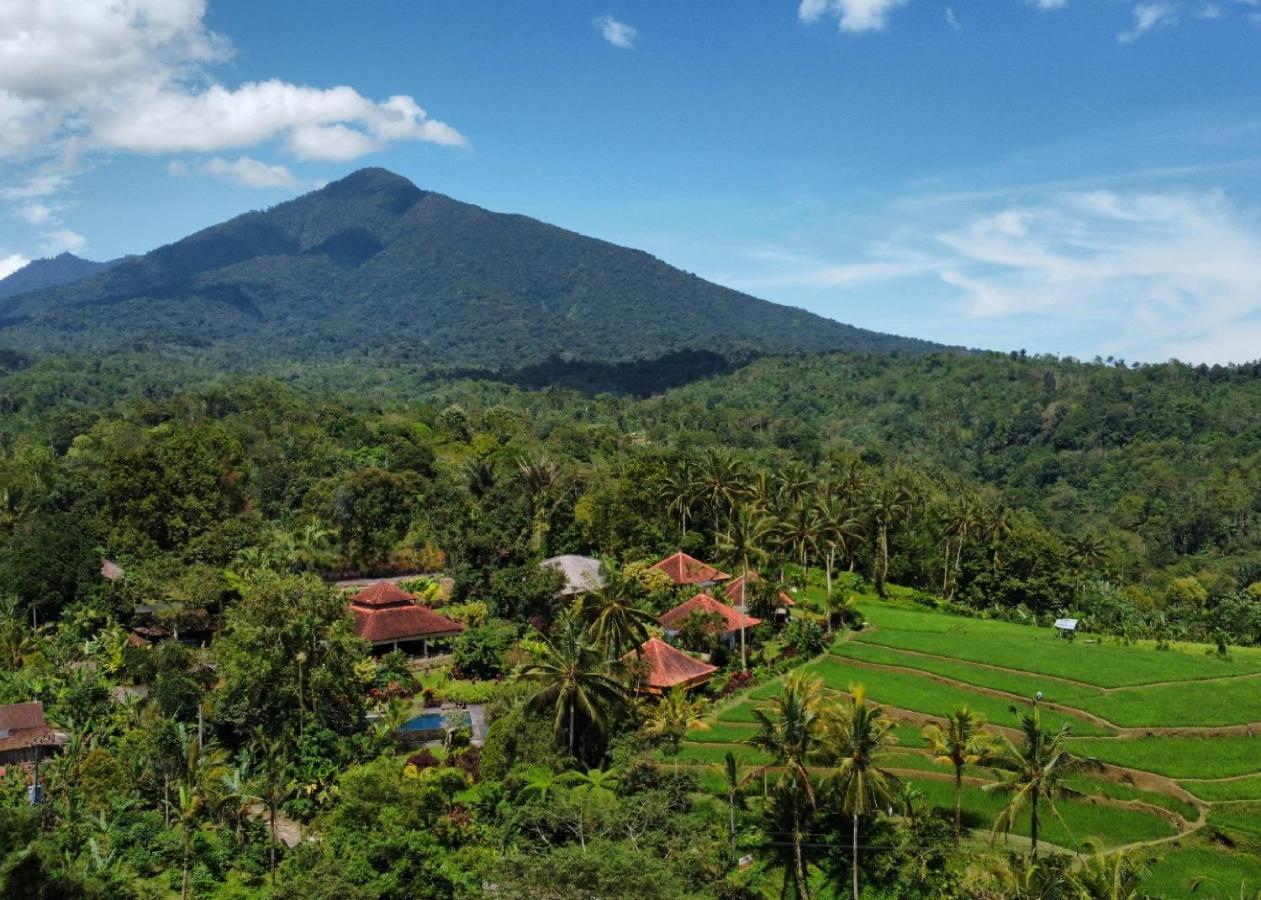 Sava Eco Retreat Padangan (Bali) Exterior foto