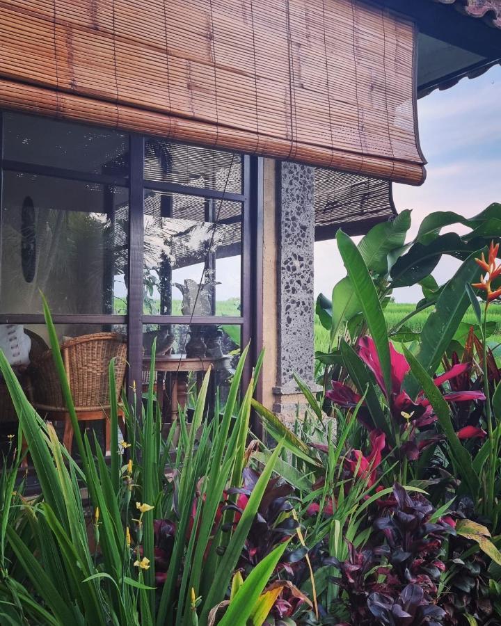 Sava Eco Retreat Padangan (Bali) Exterior foto