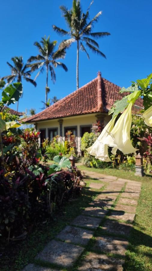 Sava Eco Retreat Padangan (Bali) Exterior foto