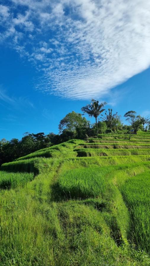 Sava Eco Retreat Padangan (Bali) Exterior foto