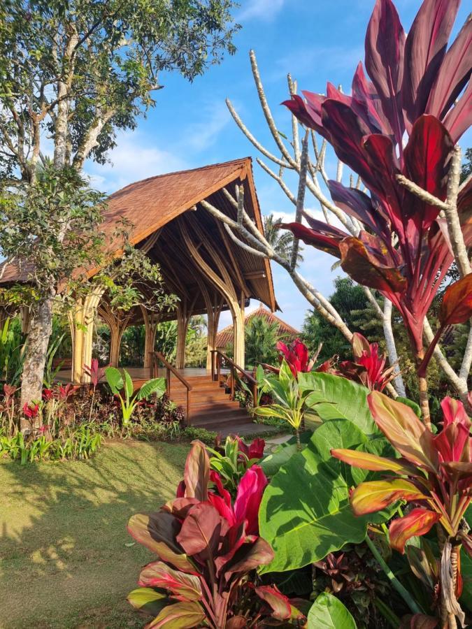 Sava Eco Retreat Padangan (Bali) Exterior foto