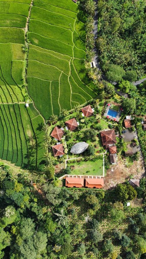Sava Eco Retreat Padangan (Bali) Exterior foto